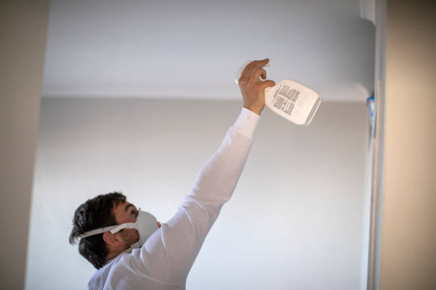 Best Emergency Mold Removal  in Seymour, TX