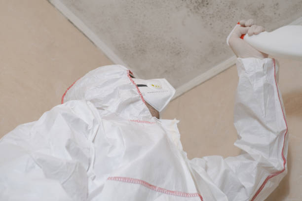 Best Mold Testing  in Seymour, TX
