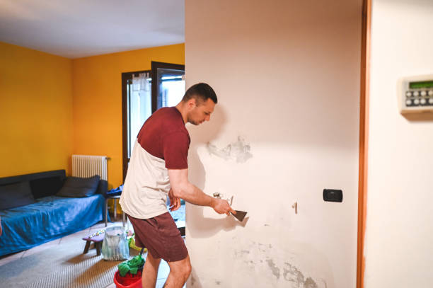 Best Mold Remediation  in Seymour, TX